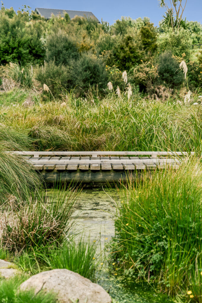 Paerata Rise Lagoon Walk