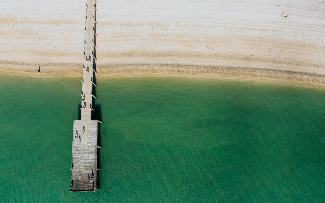 morning wharf drone