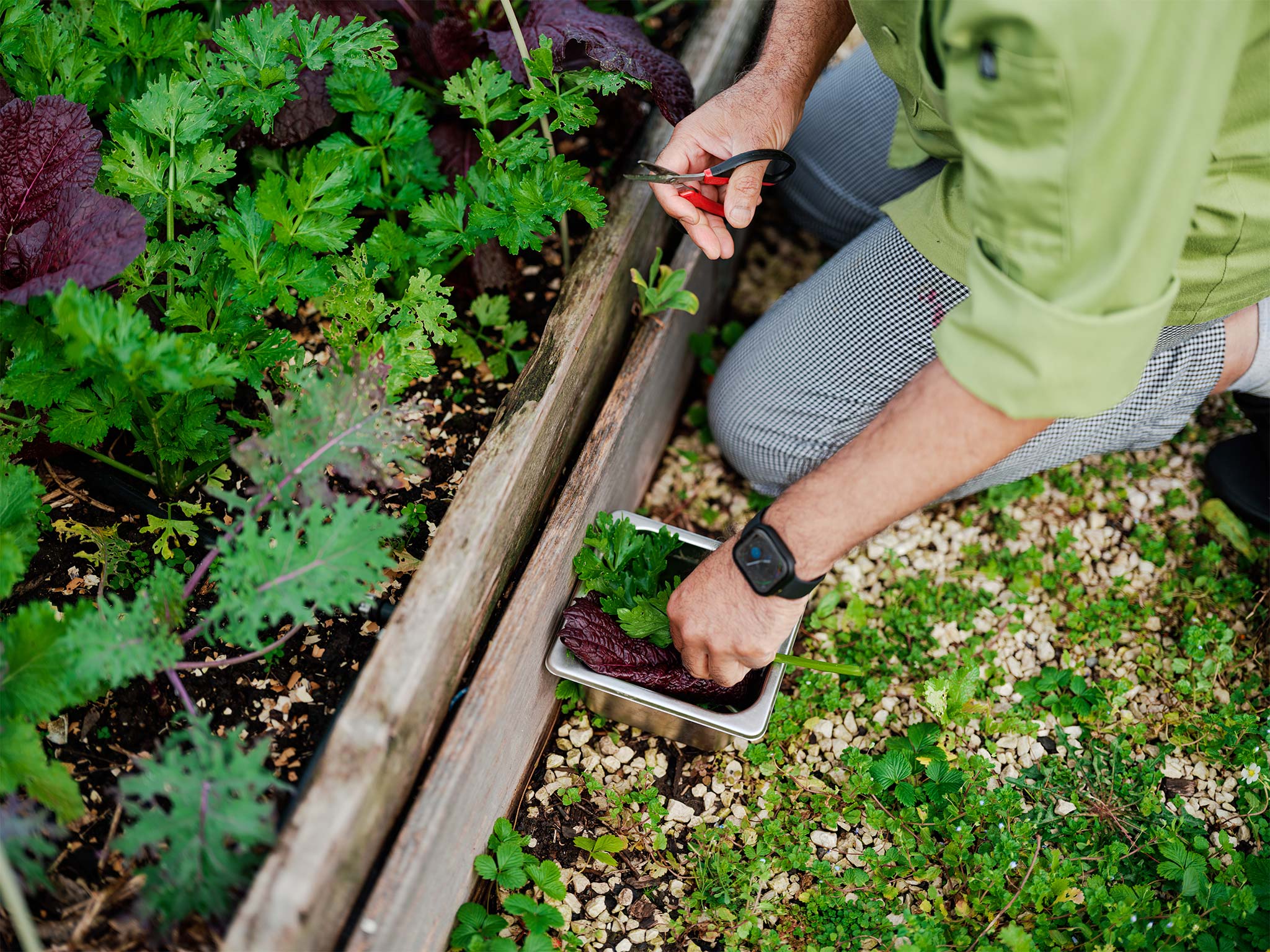 Nourishing Communities