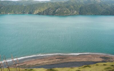 manukau heads
