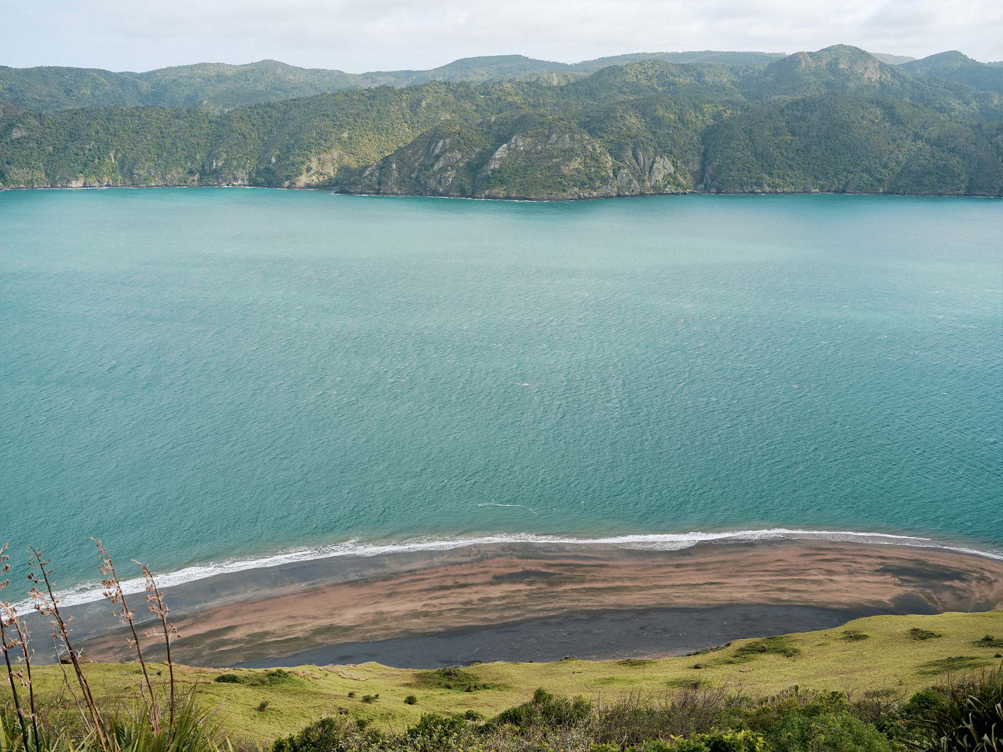 manukau heads