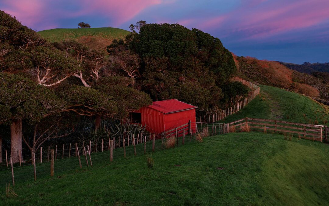 duder purple sky