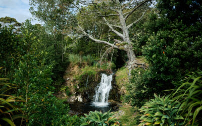 waitangi falls