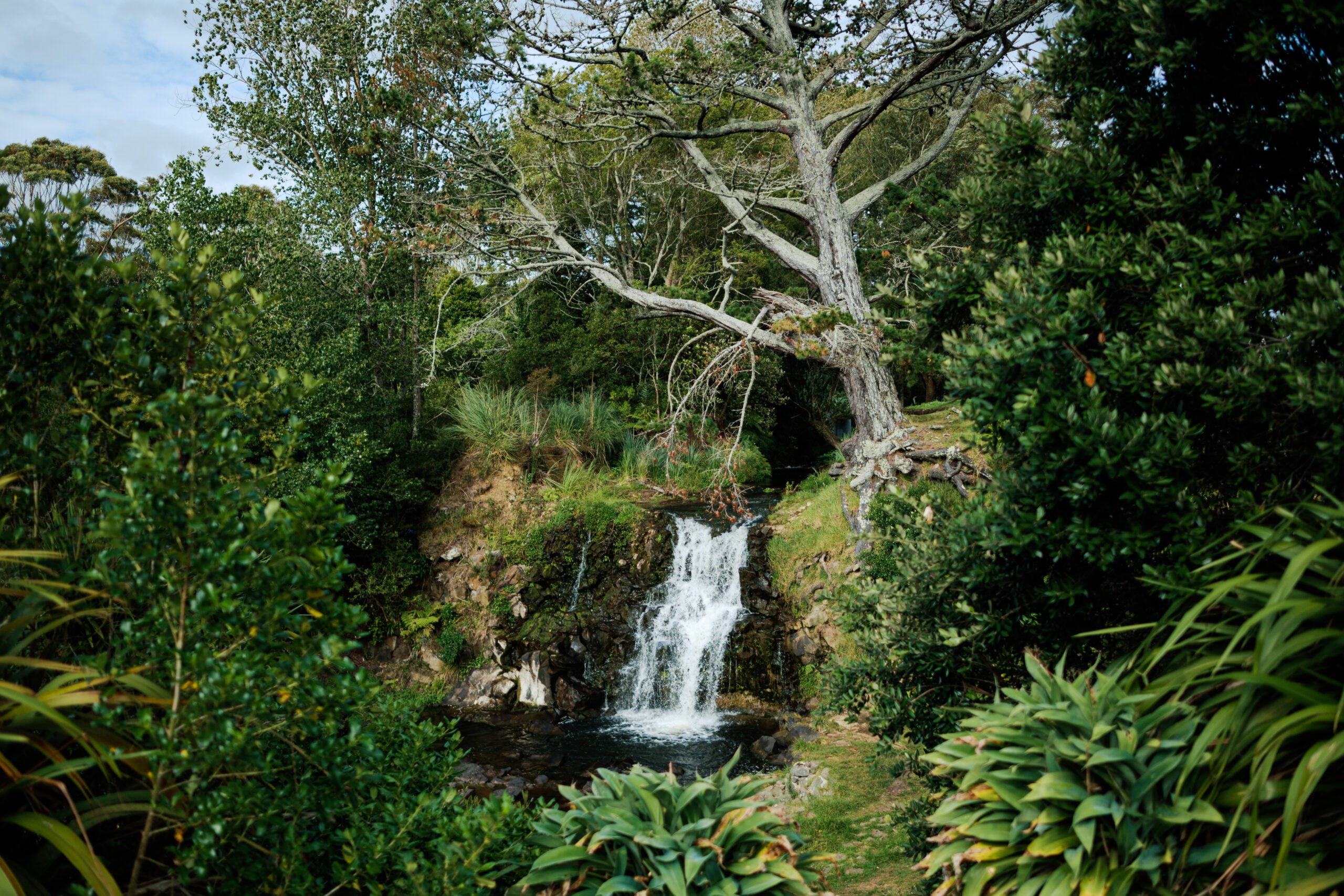 waitangi falls