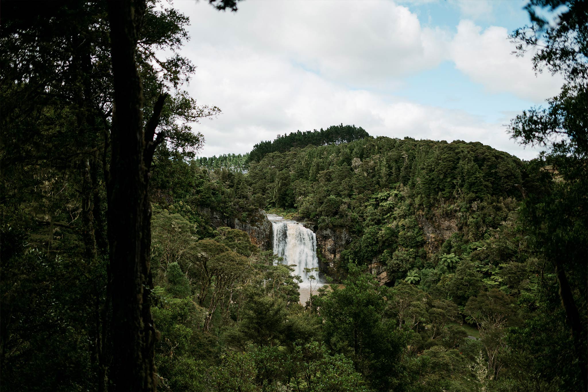 Hūnua Falls Lookout Loop